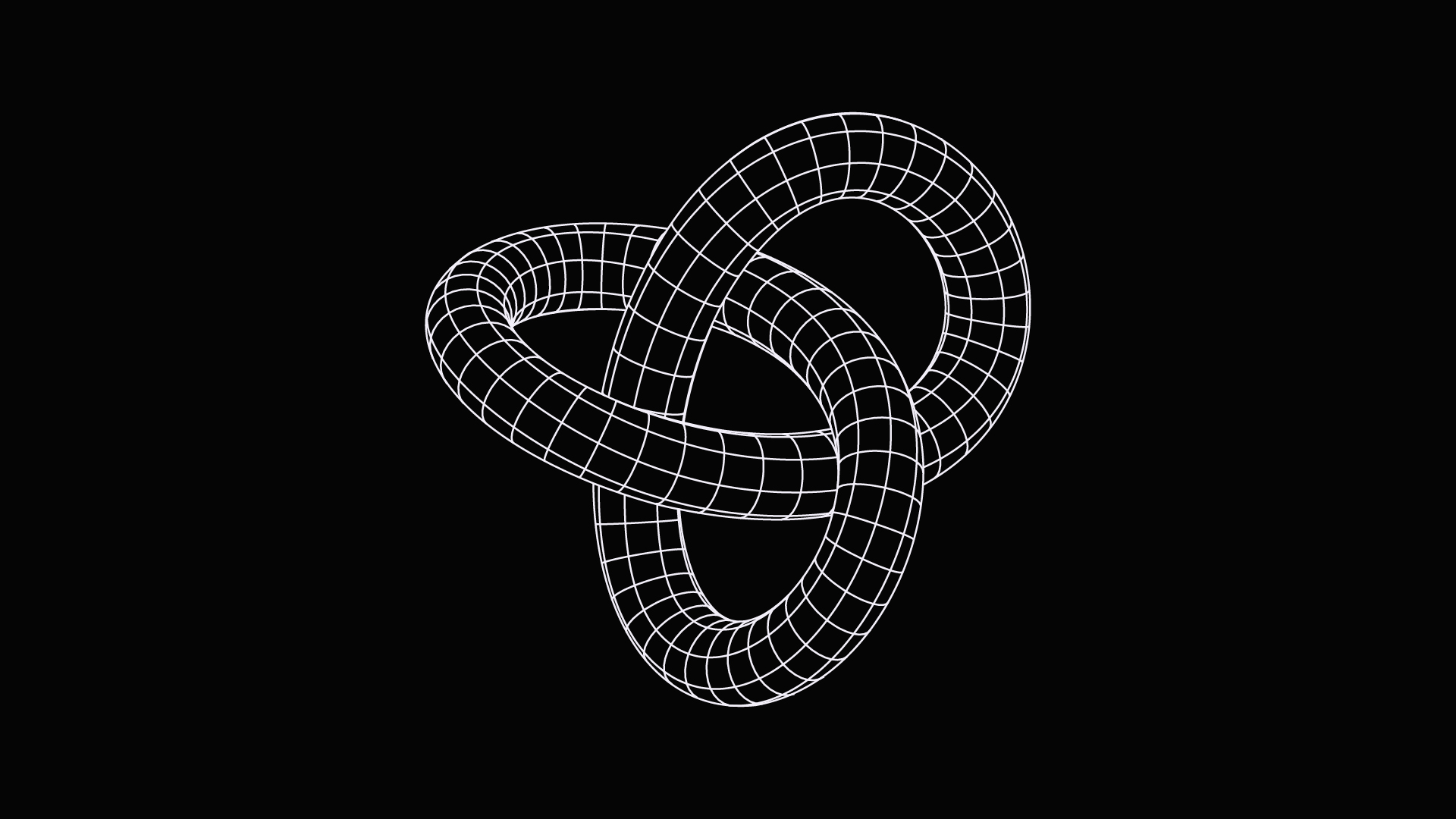 3D Interlocking Torus Wireframe