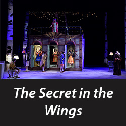 The Secret in the Wing