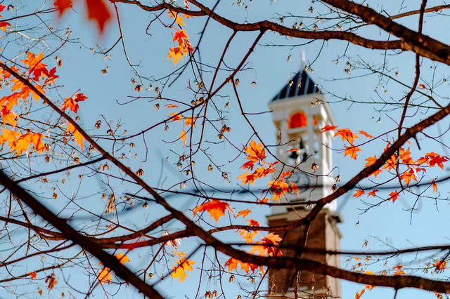 tower
