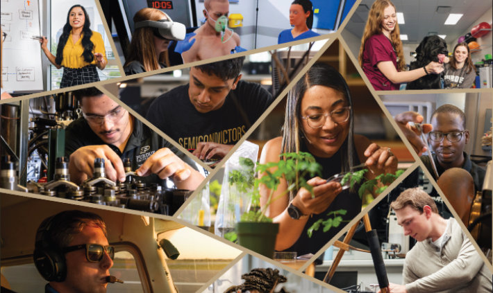 A collage of photos showing students in different job settings